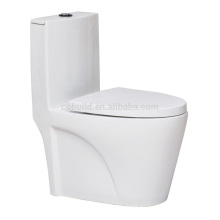 CB-9037 Intelligent spray automático Water Massage WC tapa de asiento de inodoro desechable